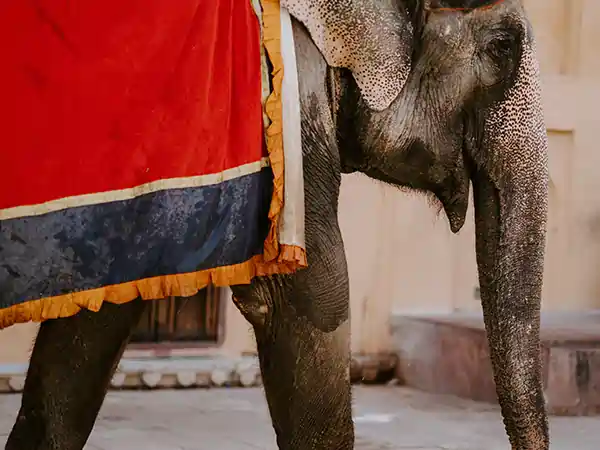 Golden Triangle Tour with Rajasthan