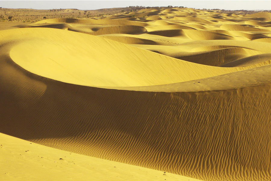 Jaisalmer Sand Dunes