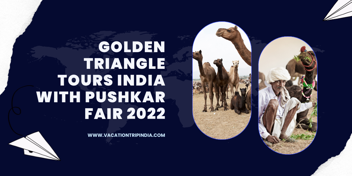 Golden Triangle Tours India with Pushkar Fair 2022