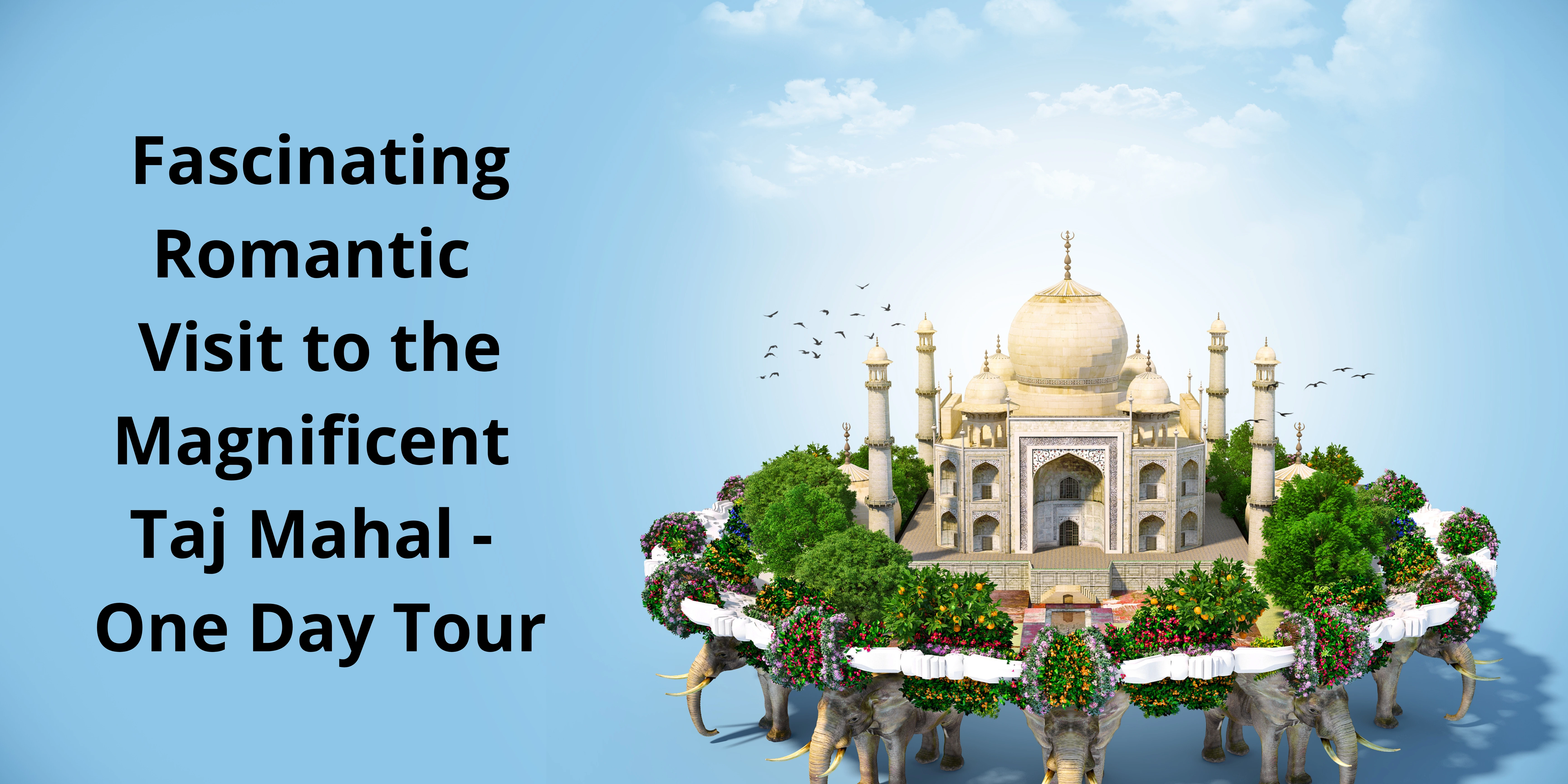 Taj Mahal One Day Tour