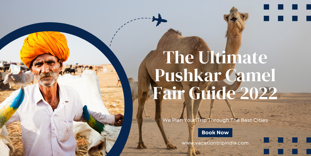 The Ultimate Pushkar Camel Fair Guide 2022