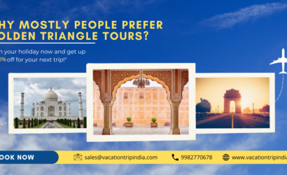 Why Mostly People Prefer Golden Triangle Tours